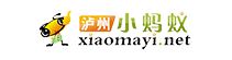 小蚂蚁网络